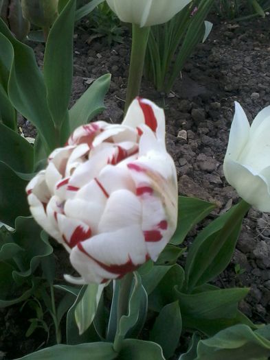 2015-04-27 19.10.54