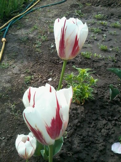 2015-05-03 09.54.40