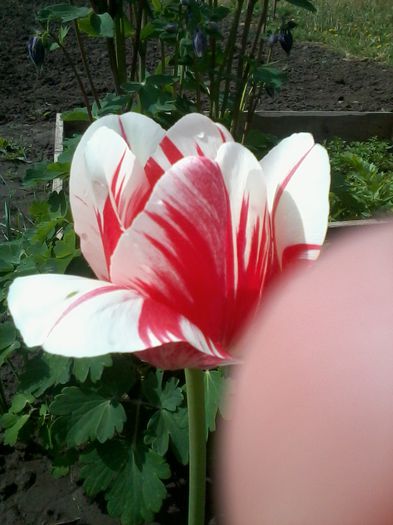 2015-05-03 09.54.18