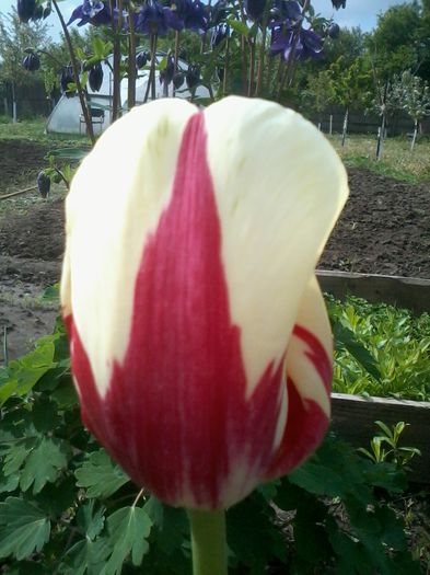 2015-05-03 09.54.29