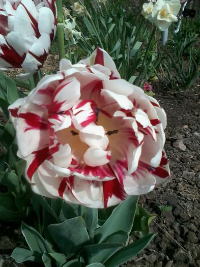 2015-05-03 09.54.57