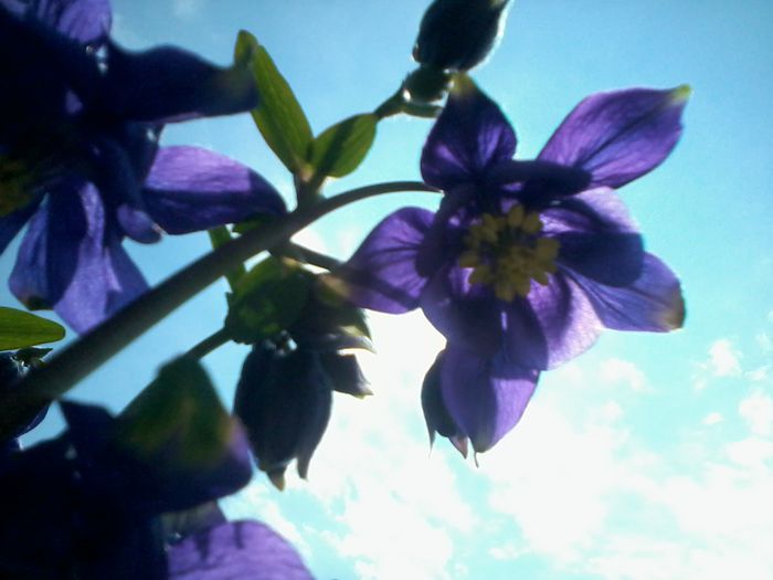 2015-05-04 13.25.28