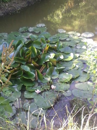 20150607_174259