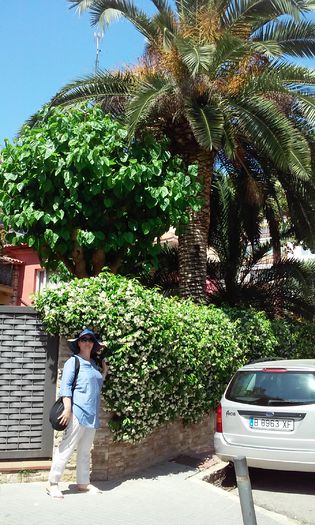 lloret de mar 2015  =2 1425