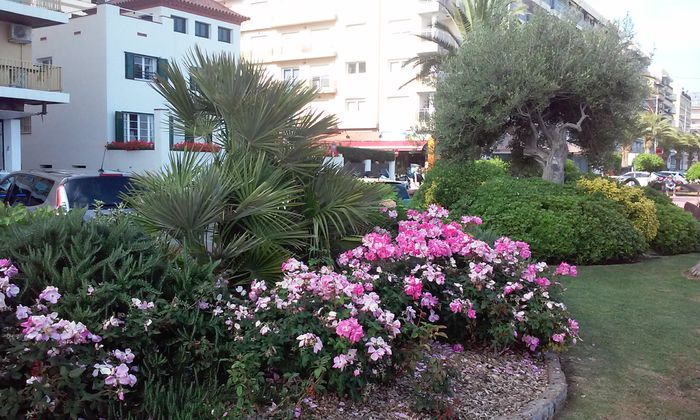lloret de mar 2015  =2 1457