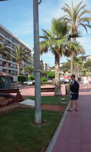 lloret de mar 2015  =2 1460