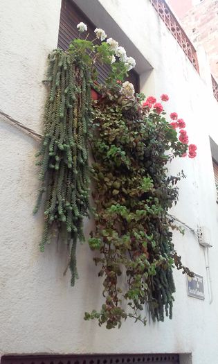 lloret de mar 2015  =2 1508