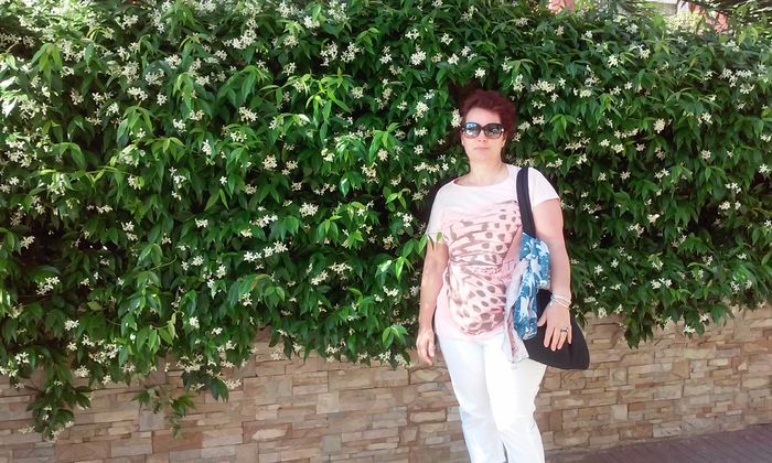 lloret de mar 2015  =2 1531