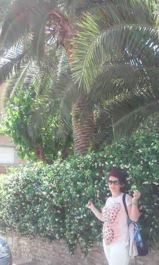 lloret de mar 2015  =2 1532