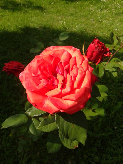 Fotografie0039
