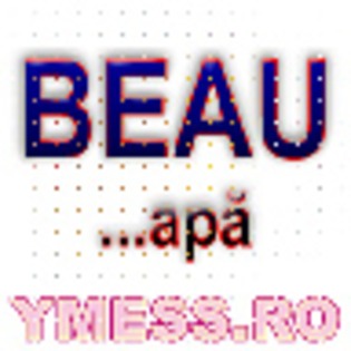 beau%20___apa%20copy%20copy - avatare