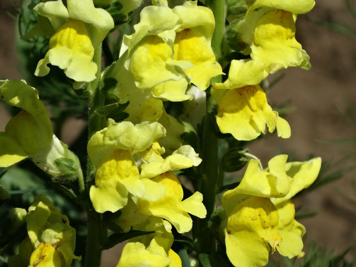 DSC01450