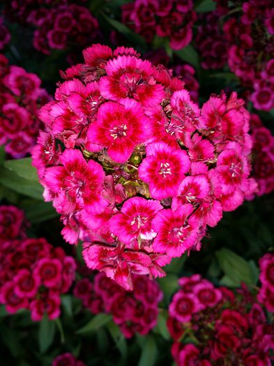 20150607_202200