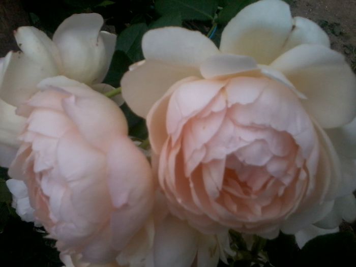 2015-06-10 18.43.27