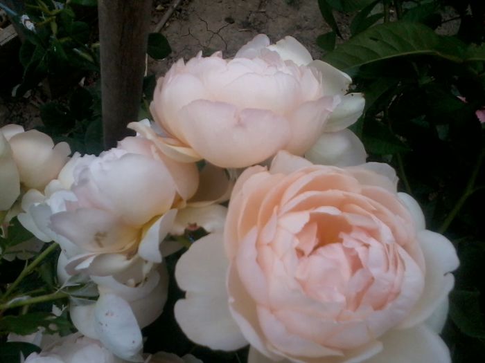2015-06-10 18.43.42