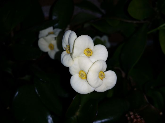 20150607_203217