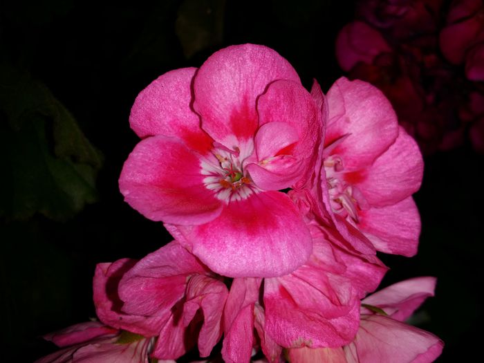 20150607_203202