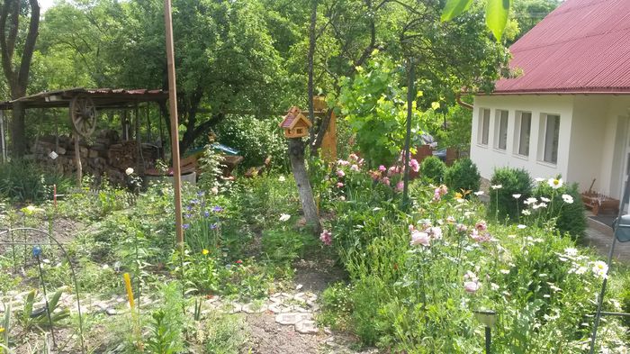  - Vara in gradina I