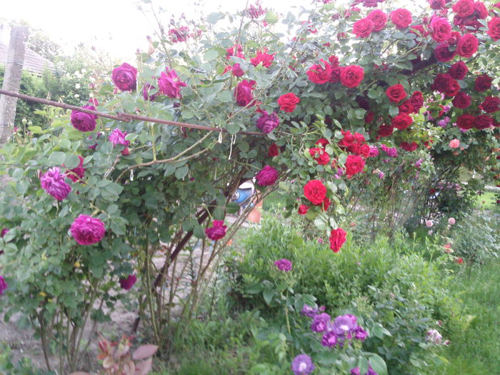 Photo3833