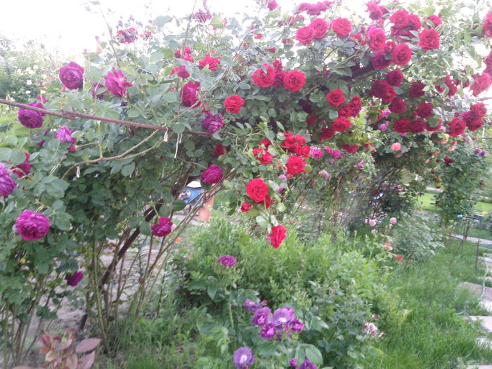 Photo3835