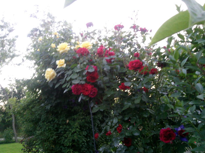Photo3854