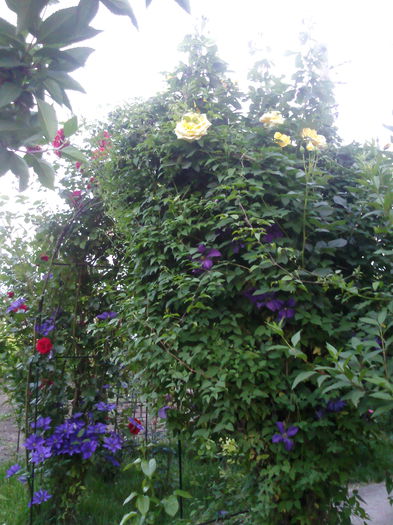 Photo3873