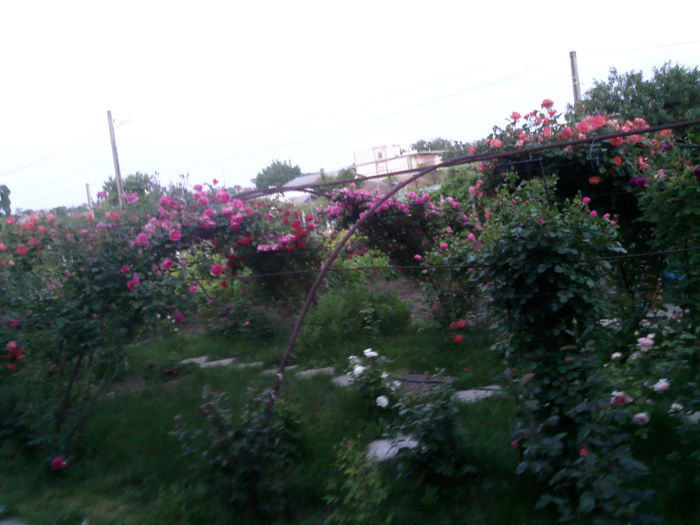 Photo3874