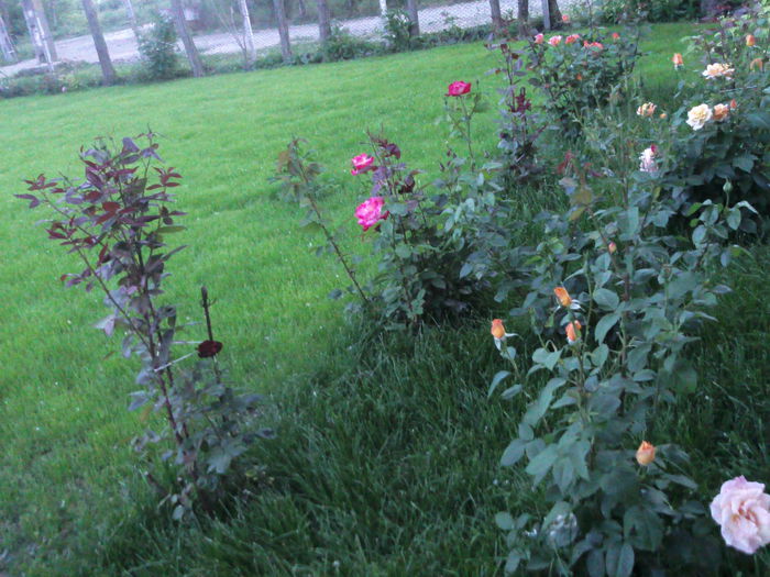 Photo3878
