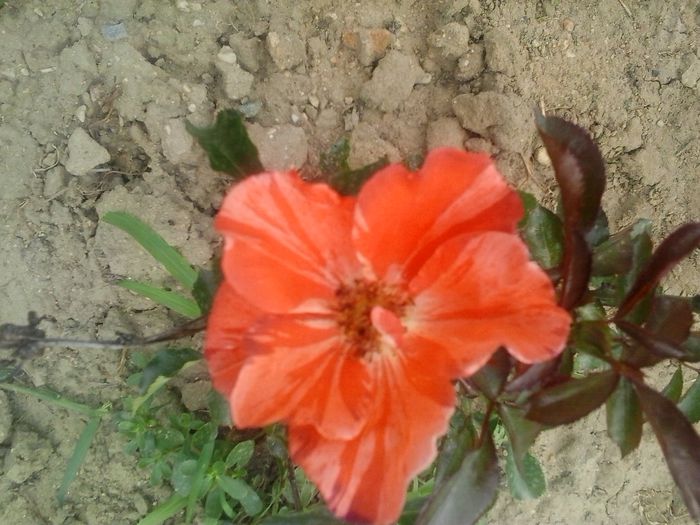 20150610_162842