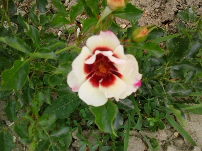 20150610_163537