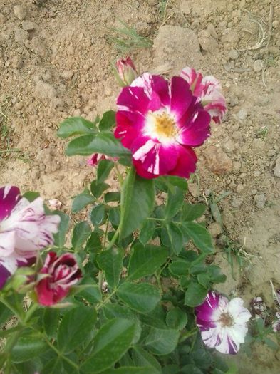 20150610_165026
