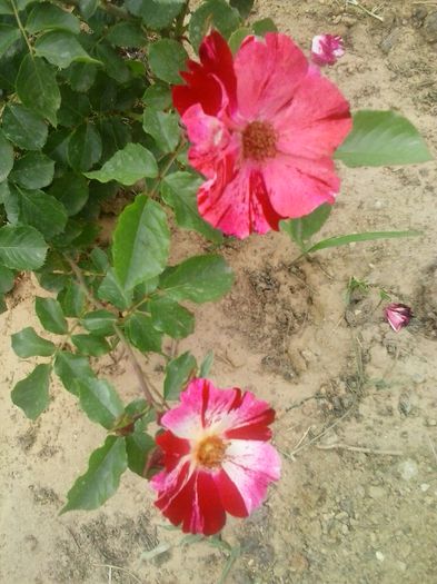 20150610_165051