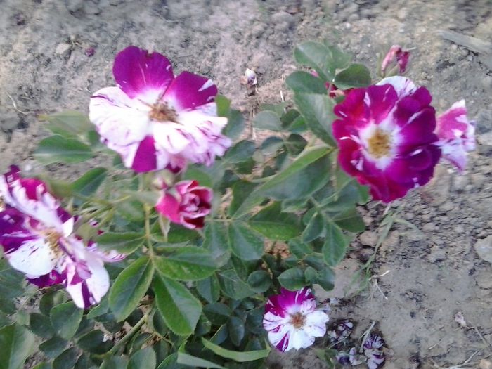 20150610_205529