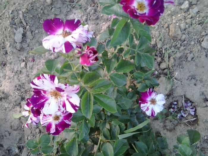 20150610_205533
