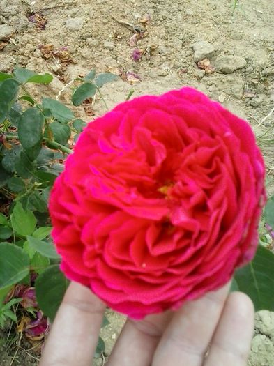20150610_163623