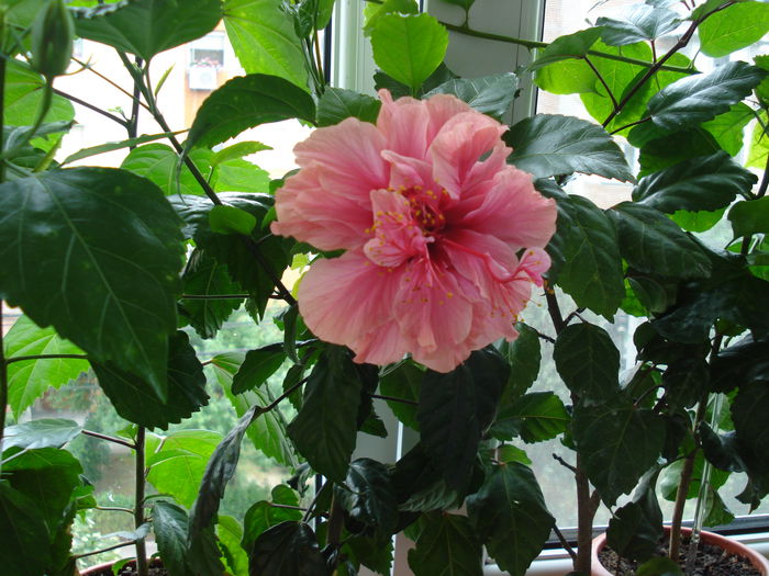 DSC01711