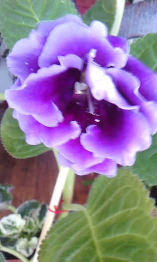 2015-06-10 17.35.40