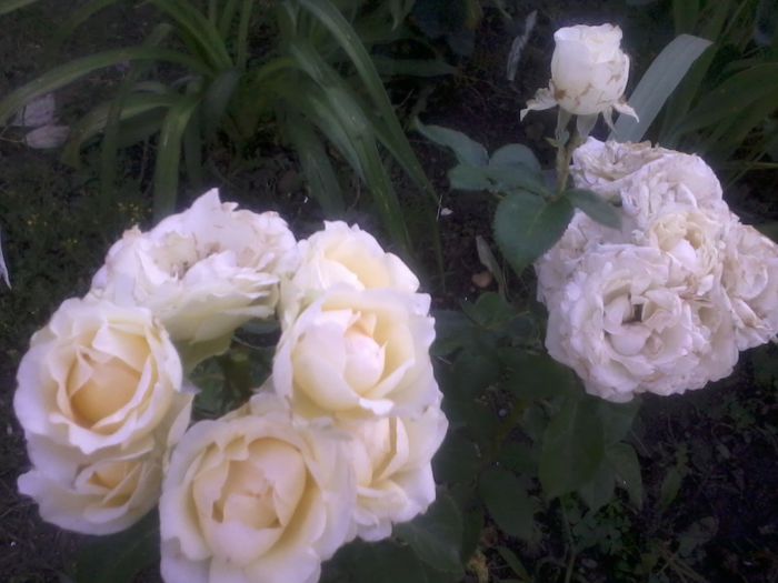 2015-06-11 19.34.34