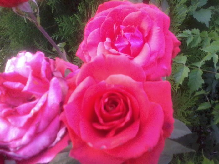 2015-06-11 19.36.16