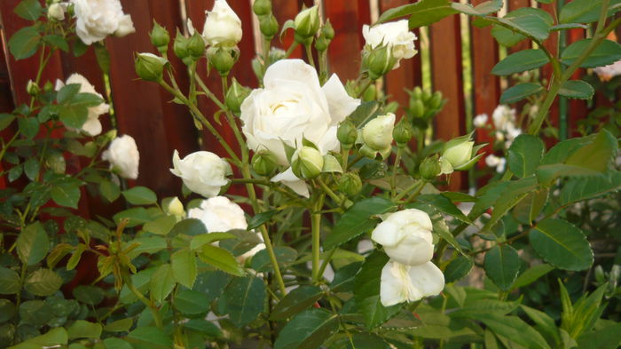 075