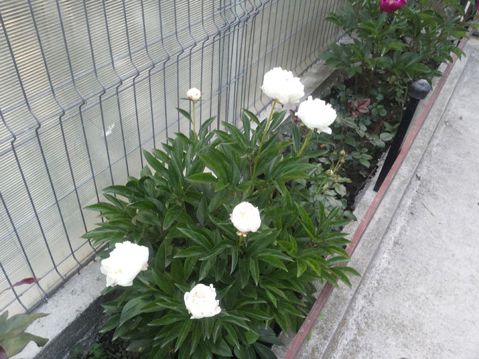 20150602_205424