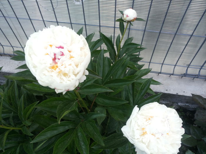 20150602_205444
