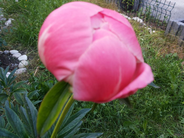 20150605_200303