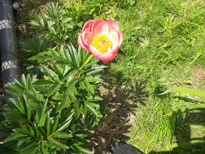 20150605_152951