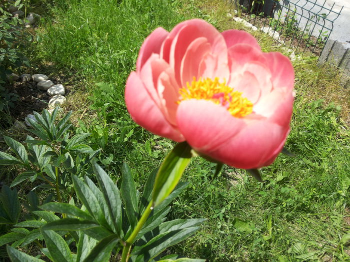 20150605_153002