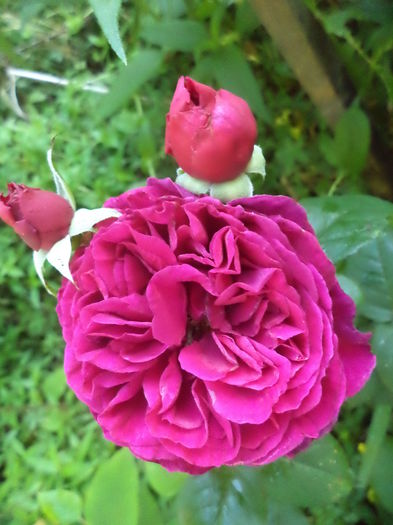DSC04141