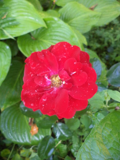 DSC04144