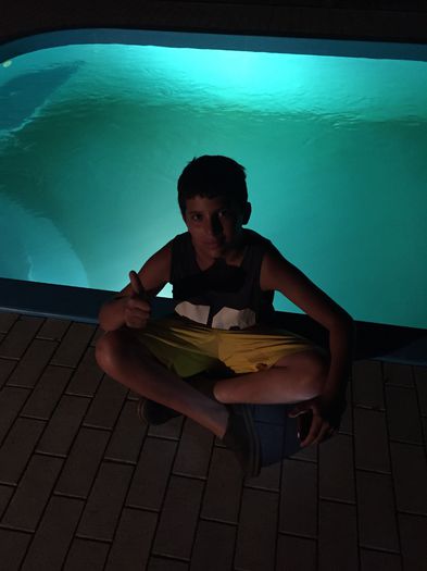 image - BALATONSIOFOK2015