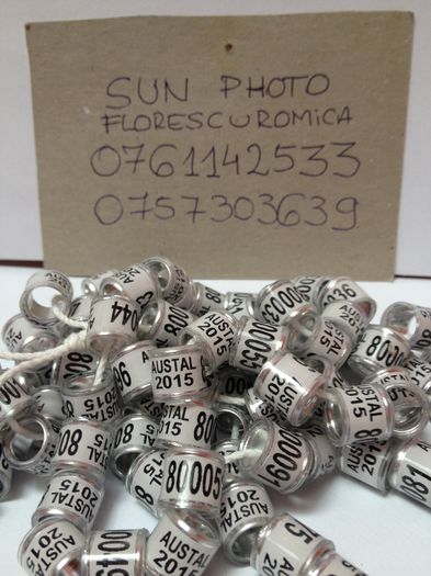 Inele Australia 2015