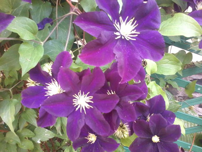 20150612_165635